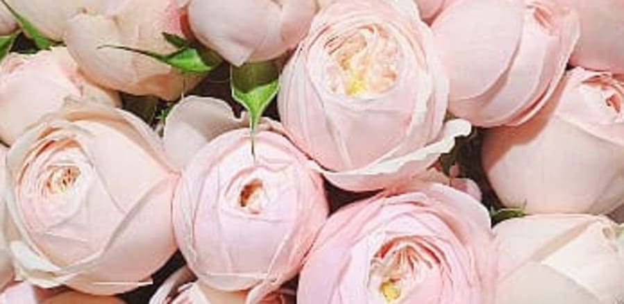 세종.나성동 [린 테라피]